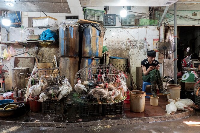 Into the Thieves Market Hanoi Photo Tour - What the private format adds at $144