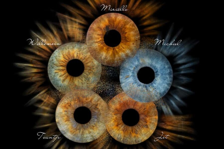 IRIS Photography (macro photo of your eye) - Key points to know before you book
