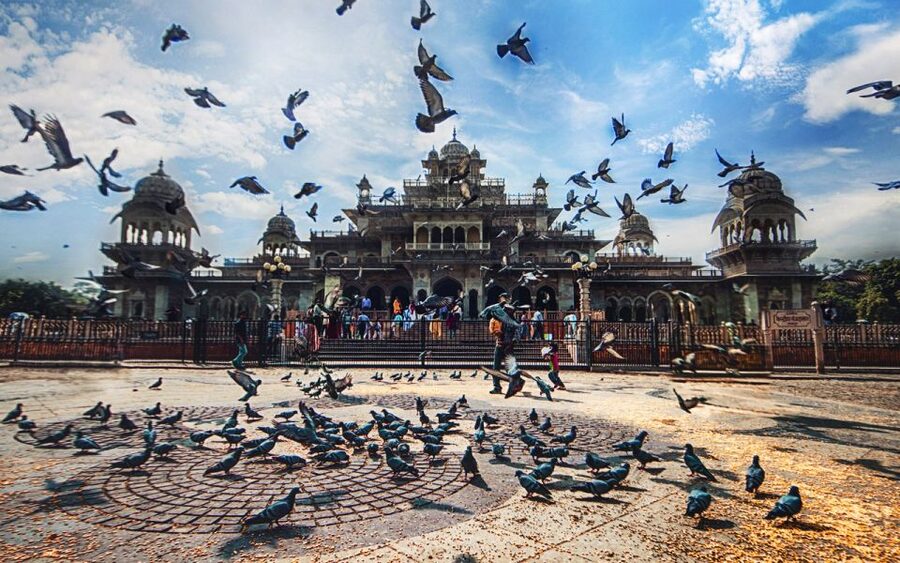Jaipur: Private Tour for Instagram and Photography Lovers - The best parts of this Jaipur photo day