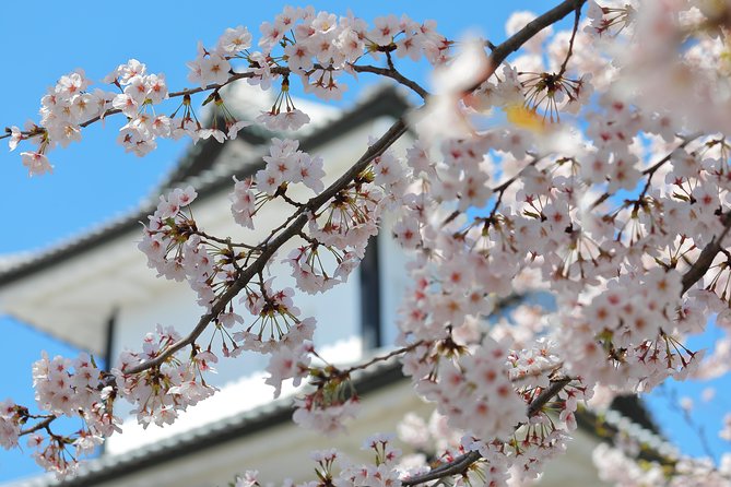 Kanazawa private half day/Photoshoot by professional photographer - The photographer-guide makes the difference