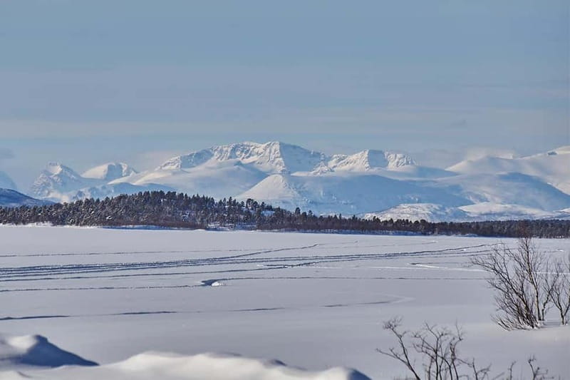 Kiruna: Wildlife and nature photography - Warm clothes, snow, and the physical side