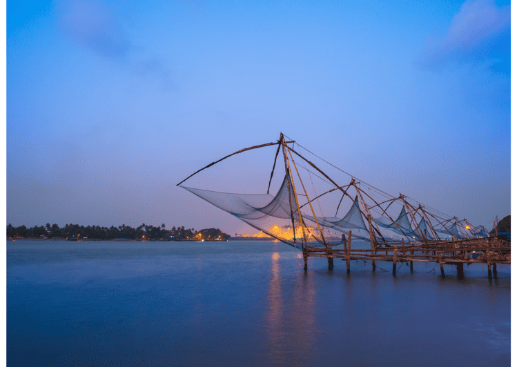 Kochi Insta Photo Walk with Tuk Tuk Ride Experience - Who Should Book This Experience?