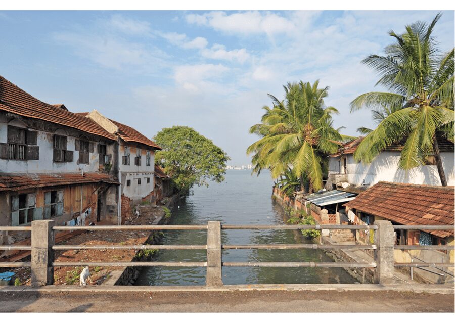 Kochi Insta Photo Walk with Tuk Tuk Ride Experience - Jew Town, Spices, and Handicrafts