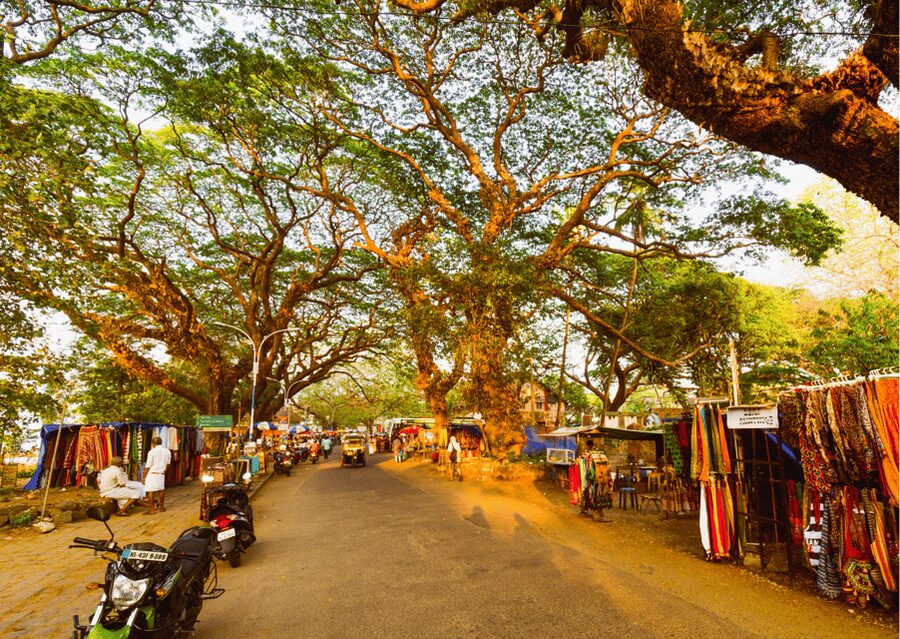 Kochi Insta Photo Walk with Tuk Tuk Ride Experience - Starting at Santa Cruz Cathedral Basilica
