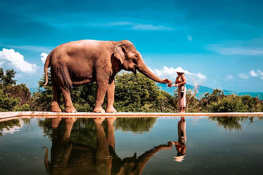 Koh Samui: Private Photoshoot for Couples & Families - A private way to save your Koh Samui memories
