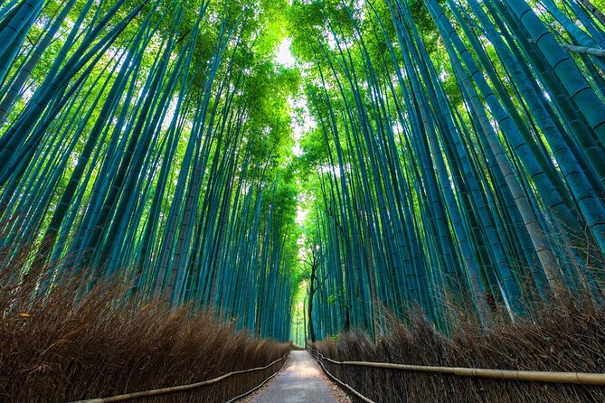 Kyoto 6hr Instagram Highlights Private Tour with Licensed Guide - Kiyomizudera and the Higashiyama streets