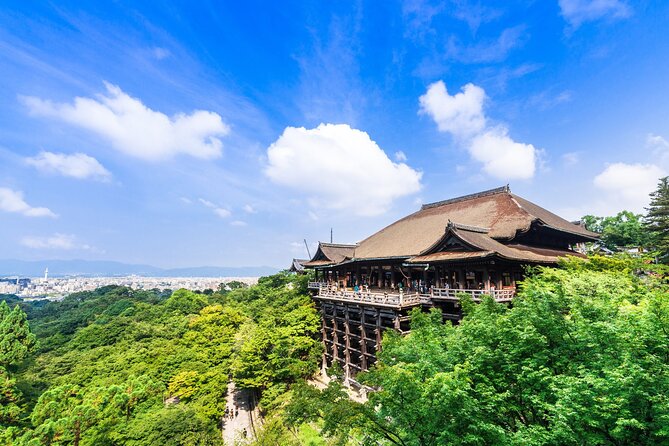 Kyoto 6hr Instagram Highlights Private Tour with Licensed Guide - Togetsukyo Bridge and Arashiyama’s bamboo