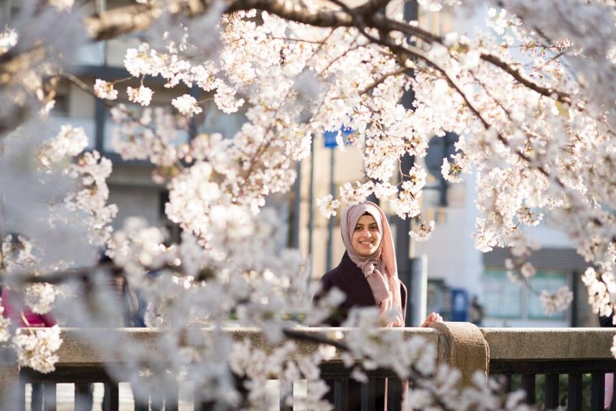 Kyoto: Photo Shoot with a Private Vacation Photographer - Why a private Kyoto photo shoot makes sense