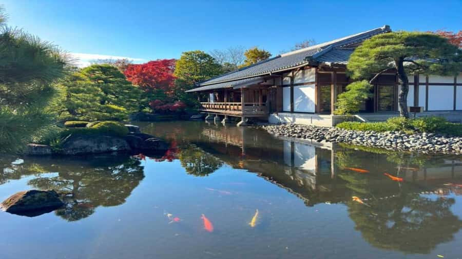 Kyoto:Private Tour/Luxury Vehicle with Guide & photographer - The photography help is useful, but keep expectations clear
