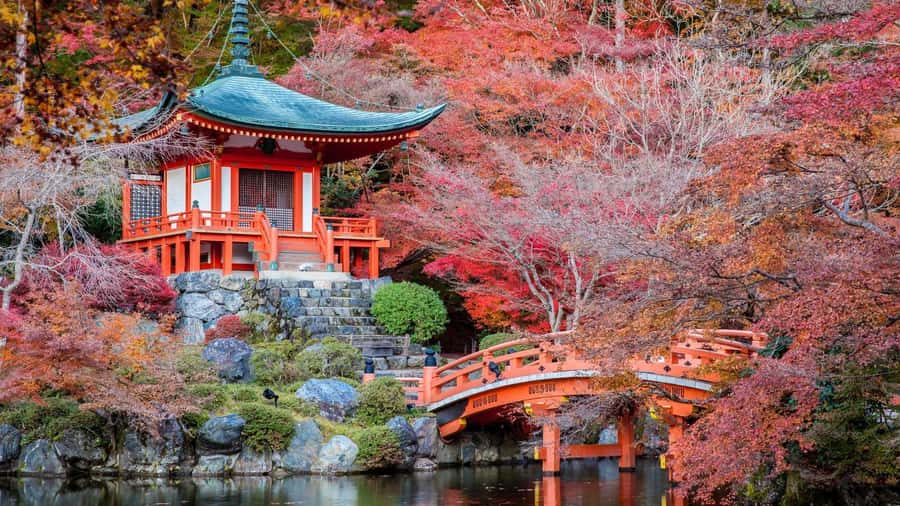 Kyoto:Private Tour/Luxury Vehicle with Guide & photographer - Who will get the most from this tour?