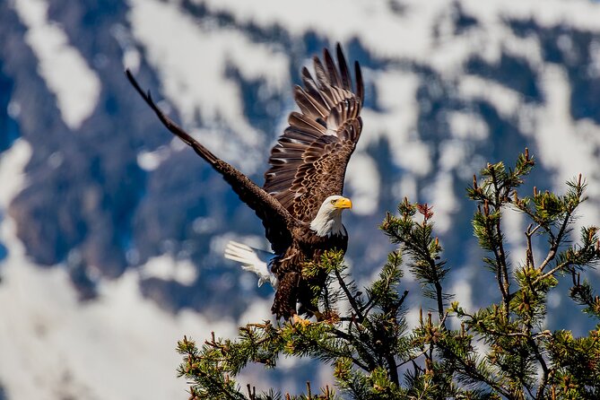 Lake Tahoe Small-Group Photography Scenic Half-Day Tour - Emerald Bay without a rushed roadside stop
