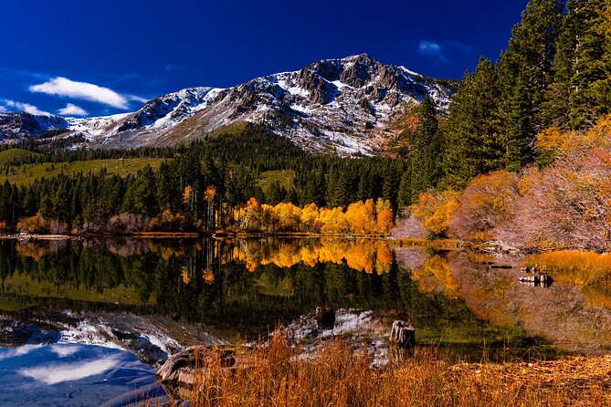 Lake Tahoe Small-Group Photography Scenic Half-Day Tour - Is $195 per person a fair price?