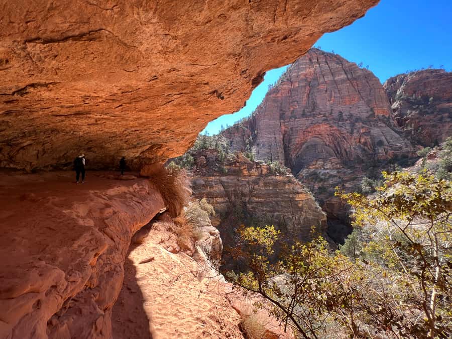 Las Vegas: VIP Guided Photography & Hiking Tour of Zion NP - Weeping Rock brings a different kind of photo stop