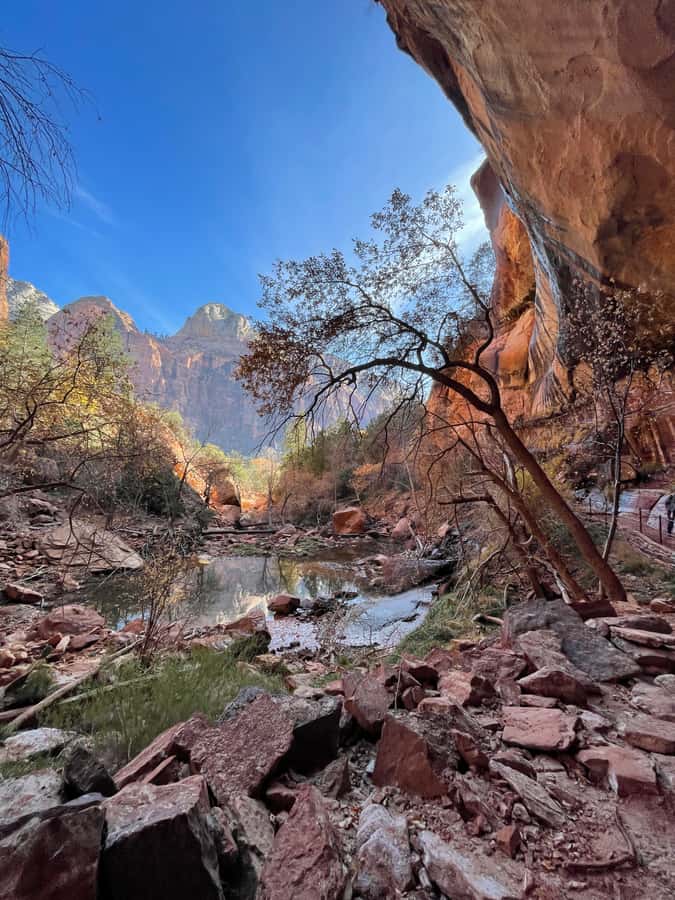 Las Vegas: VIP Guided Photography & Hiking Tour of Zion NP - Temple of Sinawava and the start of the Narrows