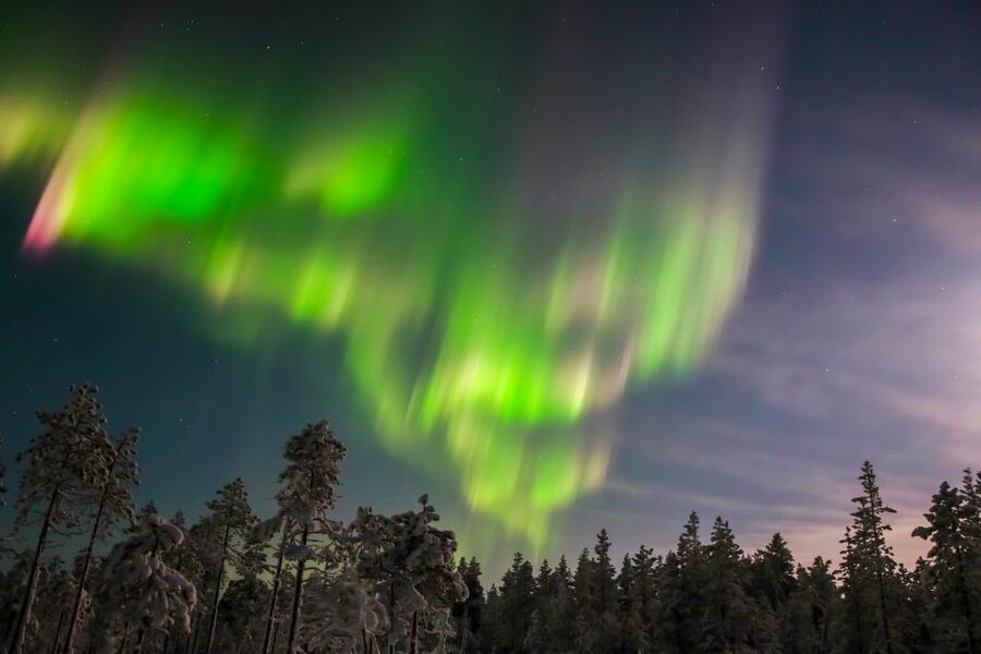 Levi: Northern Lights Hunting Photo Tour - What the four-hour evening feels like