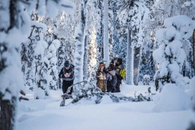 Levi: Pallas National Park Adventure with Pro Photos & BBQ