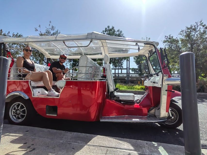 Lisbon Private Sightseeing Photography Tour with Tuk Tuk - São Vicente, the National Pantheon, and Feira da Ladra