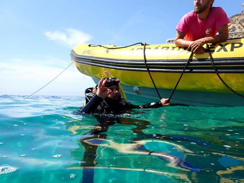 Lisbon: Try Scuba Diving in Arrábida Marine Reserve w/photos - First breaths in the Arrábida Marine Reserve