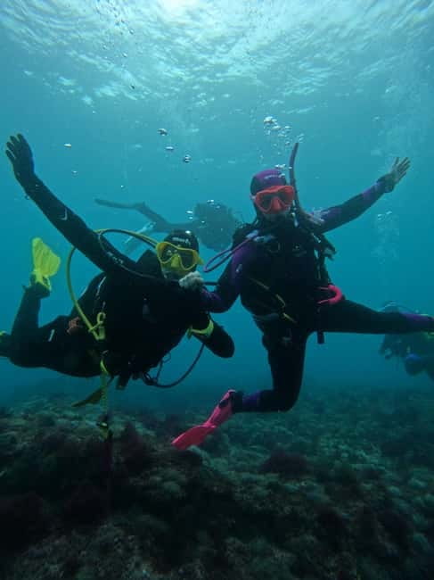 Lisbon: Try Scuba Diving in Arrábida Marine Reserve w/photos - Photos and SSI certification add value
