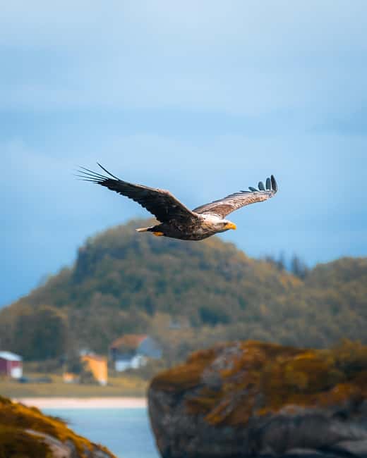 Lofoten: Chinese speaking photo tour - Svolvær to Å - What the photography help really adds