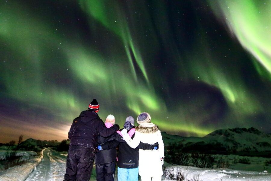 Lofoten: Northern Lights Tour with Photographer - The price and what you receive for $152