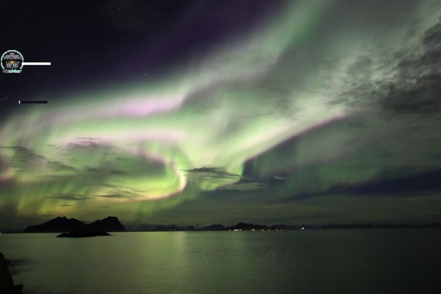 Lofoten: Northern Lights Tour with Photographer - Weather, clothing, and comfort