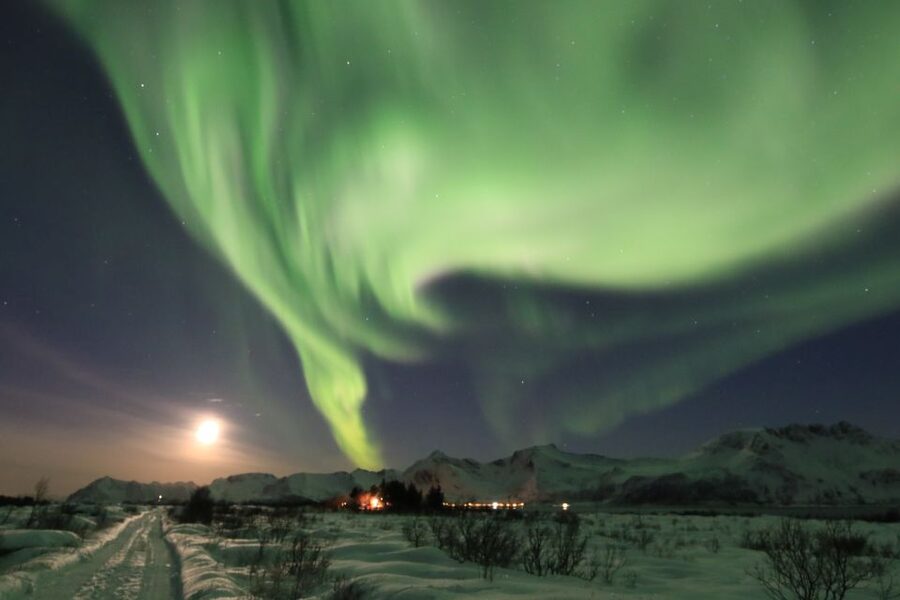 Lofoten: Northern Lights Tour with Photographer - Who will enjoy this aurora tour most