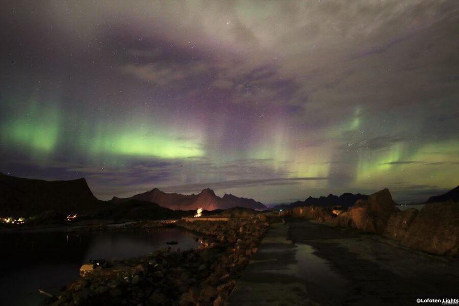 Lofoten: Northern Lights Tour with Photographer - What the four-hour evening looks like