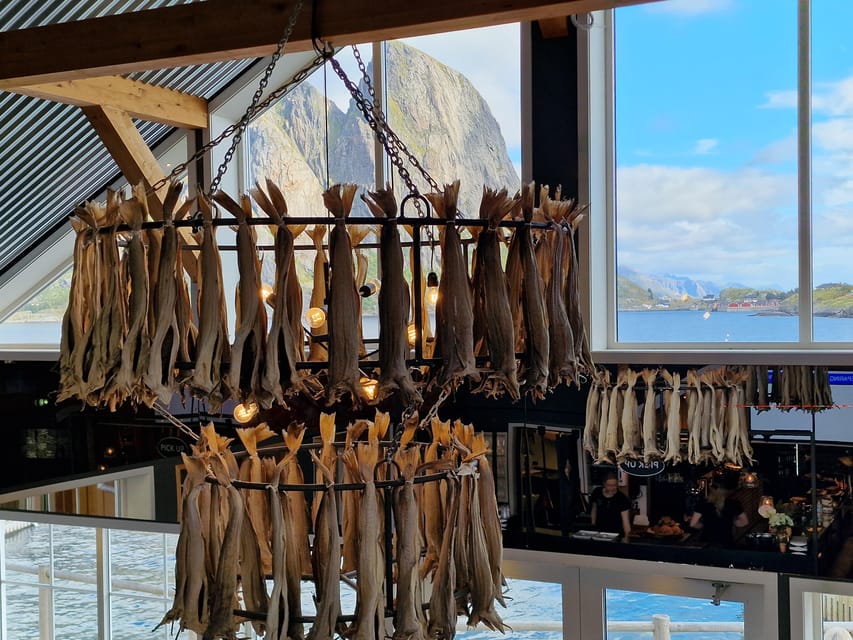 Lofoten: Reine, Hamnøy, and Skariskøya Photo Tour - Weather, comfort, and the pace of the day