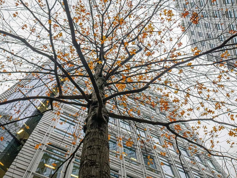 London: West End Photography Walking Tour with Guide - Is three hours the right length?