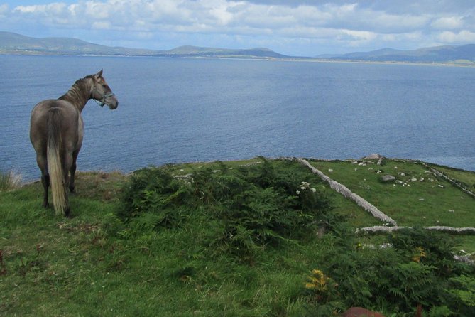 Luxury Photography Day Tour on Ring of Kerry and Skellig Ring - Fully Guided and Chauffeured - Cahersiveen and the Daniel O’Connell connection