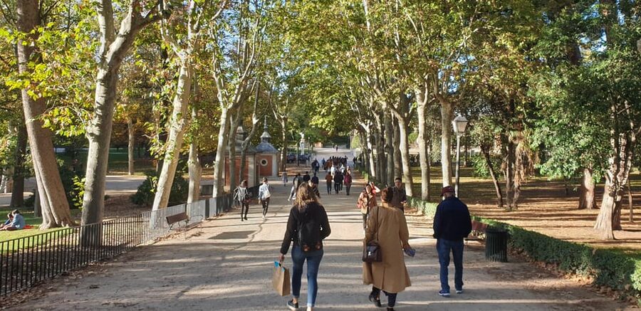 Madrid: Retiro Park Guided Tour with a Photographer - Price, pace, and what to bring