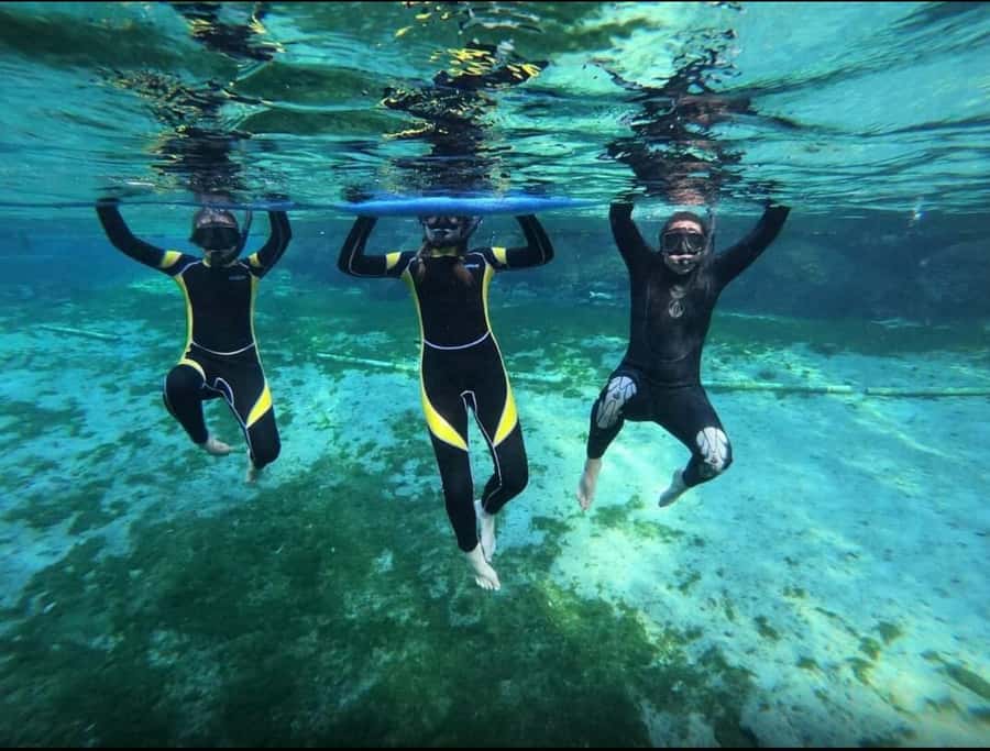 Manatee Snorkeling Tour with in water Guide and photographer - What the three-hour schedule feels like