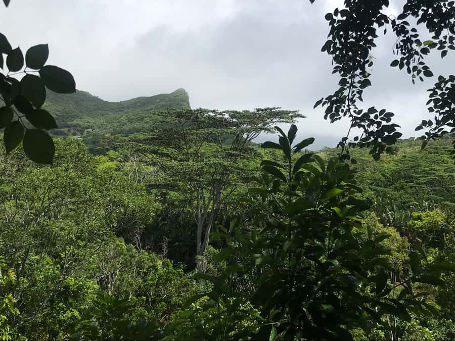 Mauritius: Private Full-Day Iconic Instagram Spots - Timing, clothing, and what to pack