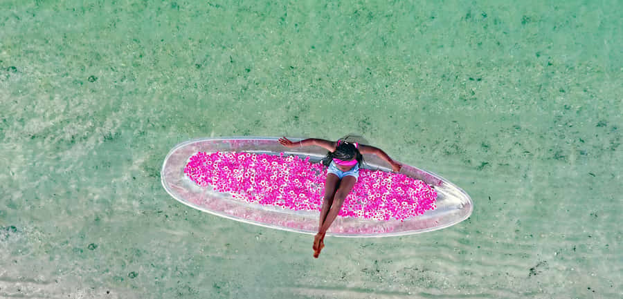 Miami/South Beach: Clear Kayak Photoshoot with Drone - Key points to know before booking