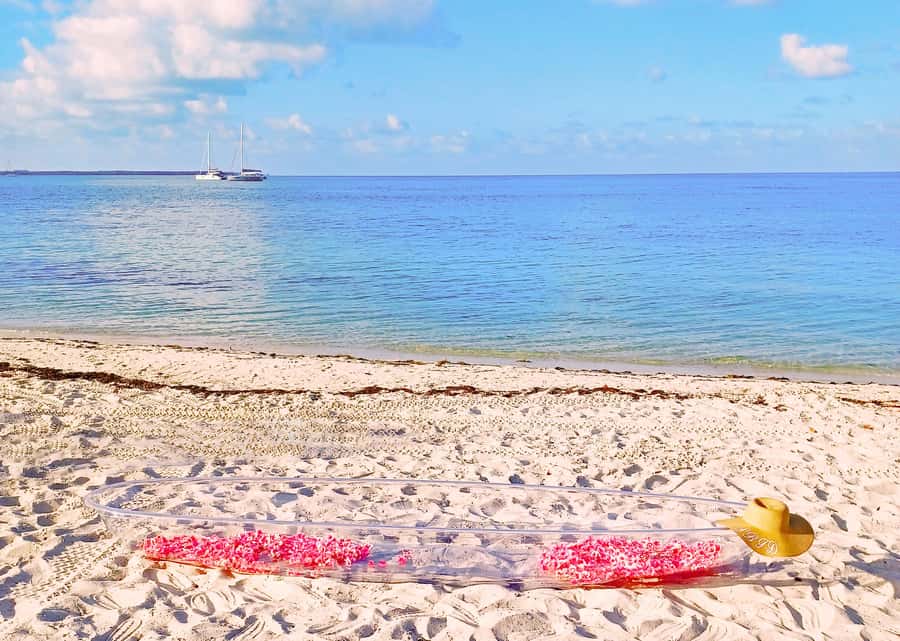 Miami/South Beach: Clear Kayak Photoshoot with Drone - Is $200 good value?