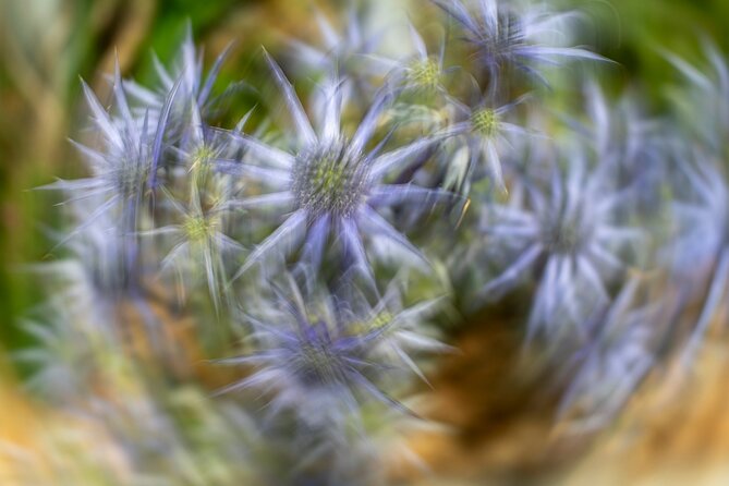 Mindful Photo Walk at Princess Pavilion & Gyllyngdune Gardens - Practical details that affect your choice