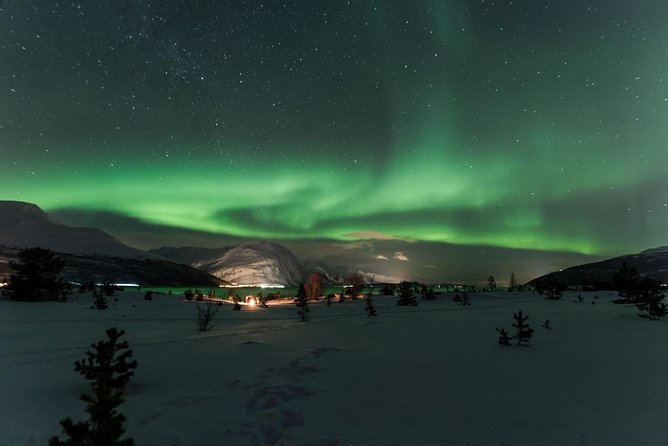 Minibus Northern Lights Chase with Photography from Tromsø - Is $242.92 good value?