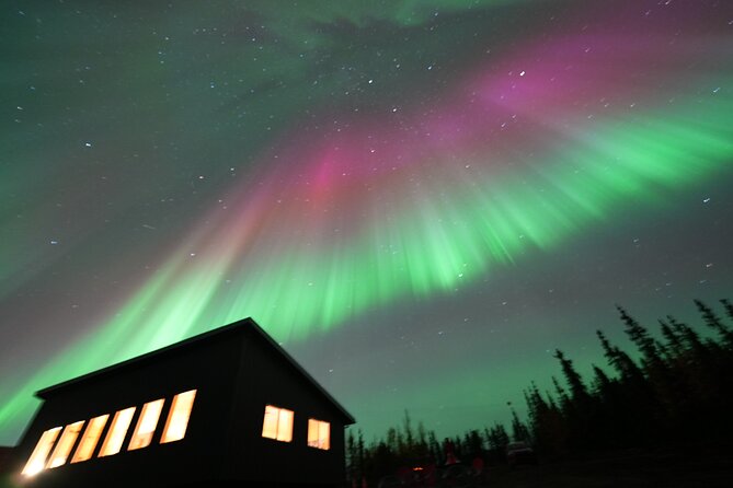 Mountaintop 360° Best Alaskan Cabin with Photography @Aurora Camp - The 10-acre yard and open sky