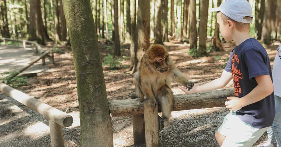 Nagano: Snow Monkey Private Instagramable Day Tour Low Price - Shibu Onsen is more than a photo stop