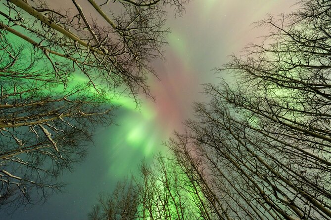 Northern Lights Aurora Chasing Adventure Tour & Free Photography - Group size and the van experience