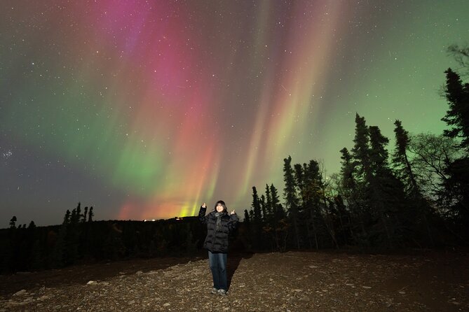 Northern Lights Aurora Chasing Adventure Tour & Free Photography - The guide’s role during the wait