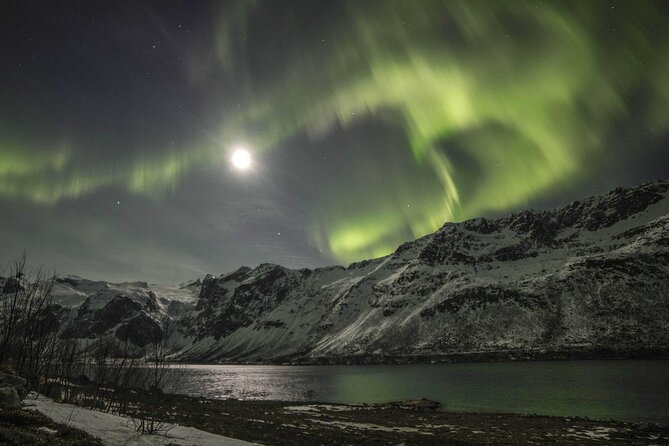Northern Lights Chase with Photography from Tromsø - Guides, communication, and safety