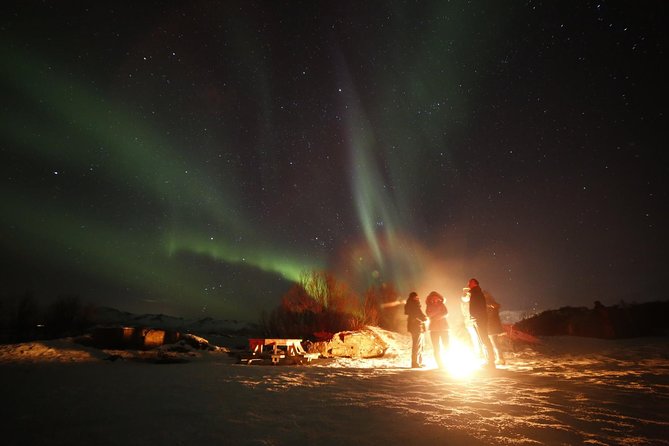 Northern Lights Photography Tour - Is the tour good value?