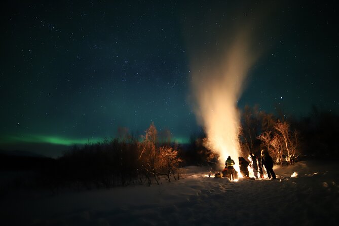 Northern Lights Photography Tour - Who should book this Rovaniemi night?