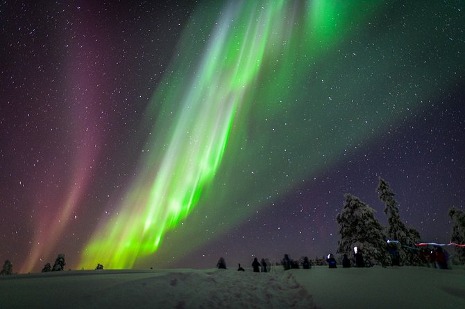 Northern Lights Photography Tour from Rovaniemi - What this Northern Lights tour really offers