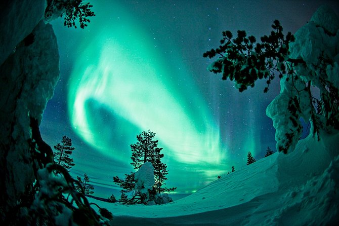 Northern Lights Photography Tour from Rovaniemi - What happens when the sky does not cooperate