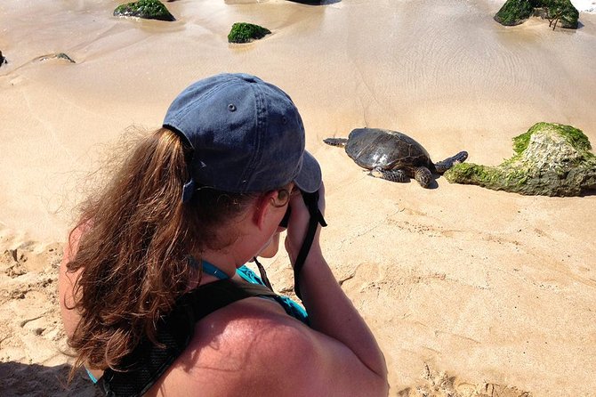 Oahu Island Photography Tour - What the photography coaching is really worth