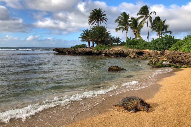Oahu Island Photography Tour - Small groups and different guide styles