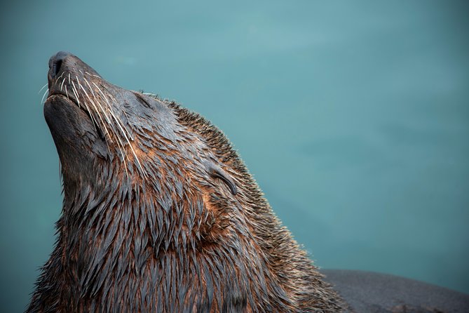 Peninsula Photography Tour - Two hours at Cape Point Nature Reserve